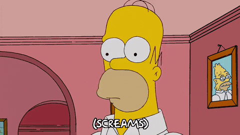 homer simpson GIF
