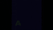 PrizePicks green lfg pp easy money GIF