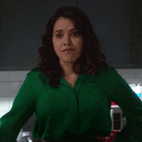 elena tovar white house director of social innovation GIF by NETFLIX