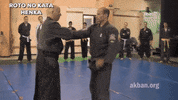 martial arts mma GIF by AKBAN Academy