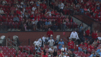 St Louis Cardinals Sport GIF by MLB