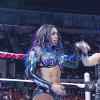 Wwe Body GIF