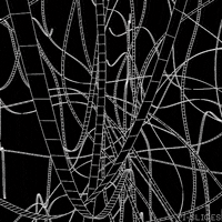 black and white 3d GIF by Pi-Slices
