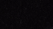 LX_GIFS andrew yang ubi lx GIF