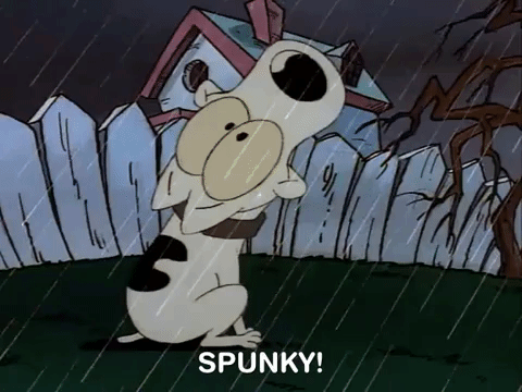 rockos modern life nicksplat GIF