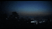 realcolliebuddz reggae take it easy collie reggae music GIF