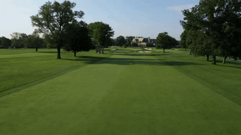 stephen_hennessey89 giphygifmaker GIF