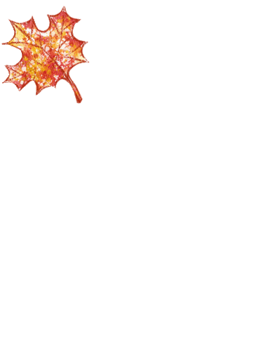 Fall Falling Sticker