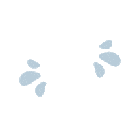 Fun Summer Sticker by Our Second Nature