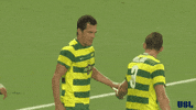 tampa bay rowdies football GIF by USL