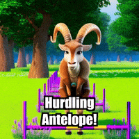 Agility GIF by Radiantelope