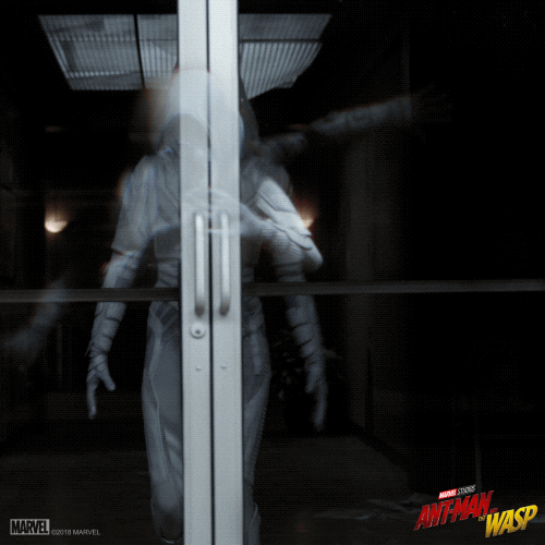 Ant Man And The Wasp Ghost GIF by Marvel Studios