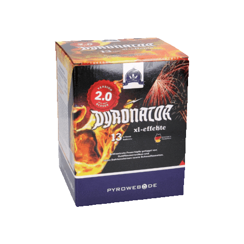pyroweb_de giphygifmaker silvester feuerwerk batterie Sticker