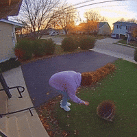 Miss Fail GIF by Respective