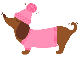 Sausage Dog Sticker