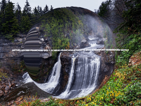 Enjoy Lol GIF by FranchiseONE.de