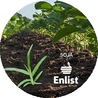 Soja Produtividade Sticker by Corteva Brasil