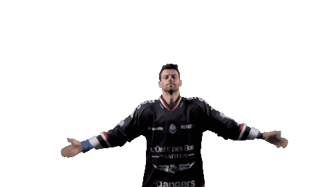 Lucienonnoangers Sticker by Les Ducs d'Angers