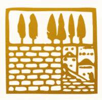 TheKotel הכותל western wall הכותל המערבי the kotel GIF