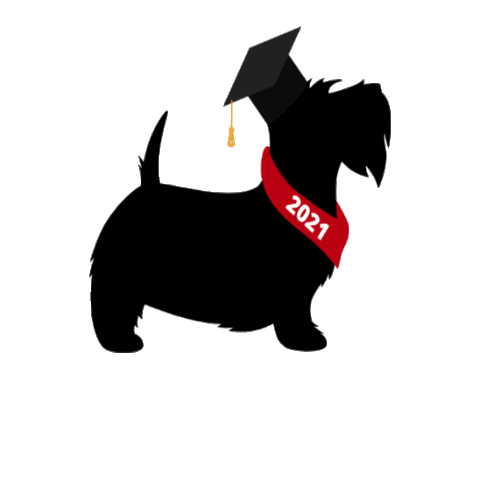 heinzcollege giphygifmaker Sticker