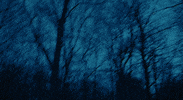 Knocked Loose Glitch GIF by Pure Noise Records