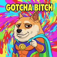 I Got You Dog GIF by Doge Pound