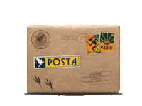 Entrega Compra Online Sticker by Escola de Magia e Bruxaria do Brasil