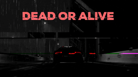 CodysCarConundrum giphygifmaker GIF