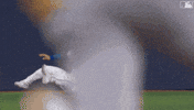 Blue Jays Baseball GIF by Toronto Blue Jays