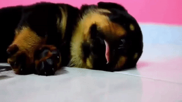 GIF by DeAPlaneta