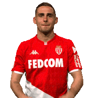 Ligue 1 Football Sticker by AS Monaco