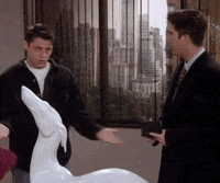 Season 2 Dog GIF by Friends