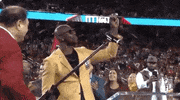2018 Nfl Football GIF by NFL