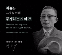 짤 GIF
