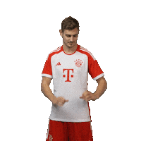 Happy Football Sticker by FC Bayern Munich