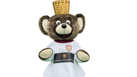 Celebration Goal Sticker by BFC Dynamo