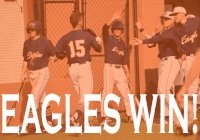 eagles will gardner GIF by Carson-Newman Athletics