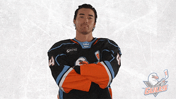 National Hockey League No GIF by San Diego Gulls