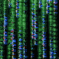 Merge_Visible wtf text weird alien GIF