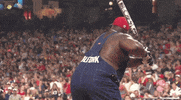 Vince Wilfork Baseball GIF by Tomi Ferraro, Sportz