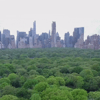 United Nations Biodiversity GIF by FAO