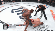 GIF by Bellator
