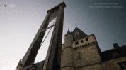 History GIF by PBS