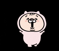 Excited Cat GIF