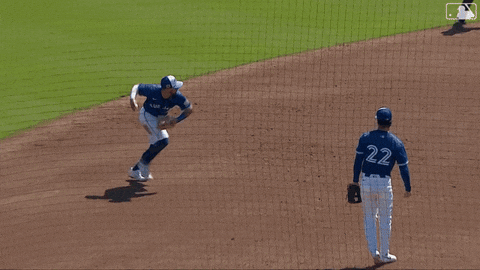 Blue Jays Mlb GIF by Toronto Blue Jays