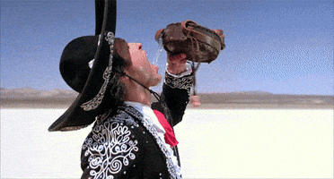 california carolina GIF