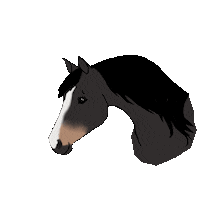 winterlichtmalerei horse competition military pferd Sticker