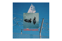 Punk Rock Berlin Sticker by Smile And Burn