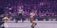 Wrestle Yuka Sakazaki GIF by All Elite Wrestling on TNT