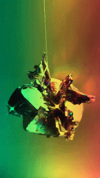 mollie_serena rainbow flower sparkle light GIF